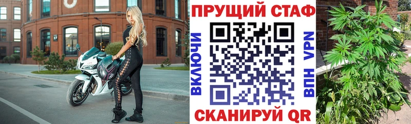 Бошки Шишки Белозерск