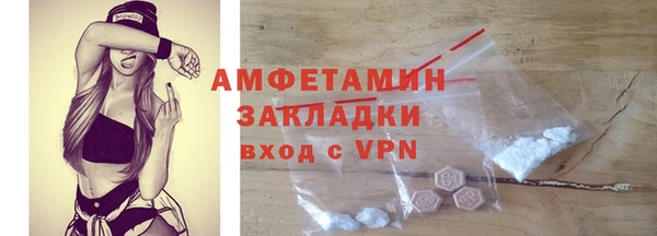 мет Алексин