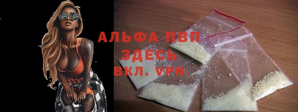 мет Алексин
