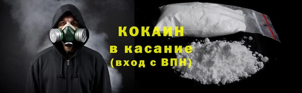 твердый Аркадак