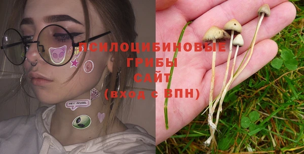 мет Алексин