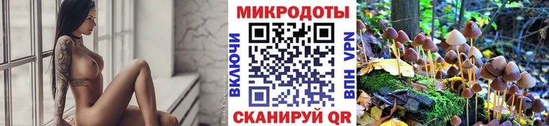 Галлюциногенные грибы прущие грибы Белозерск